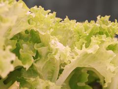 -佰园全日西餐厅-厦门佰翔软件园酒店