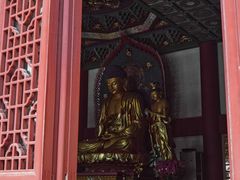 -上海东林寺(金山区)