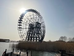 -太湖湖滨国家湿地公园-停车场