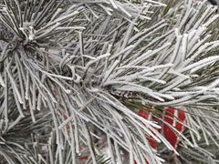 -终南山南五台景区