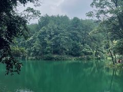 -缙云山景区