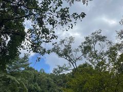 -黔灵山公园