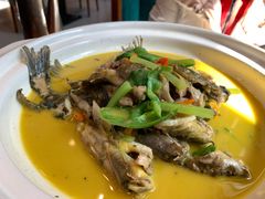 黄鸭叫-饭怕鱼(阳光100店)