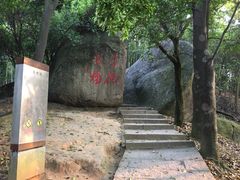 -阳台山森林公园