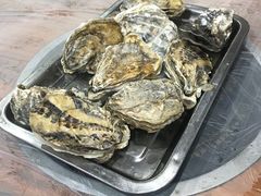 -老季苏州藏书羊肉馆