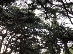 -贮水山儿童公园