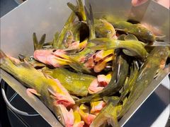 -米氏火鱼·泡椒鱼火锅(李子坝老店)