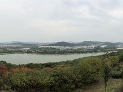 -羊山湖公园