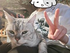-猫猫幼稚园·撸猫·桌游·电玩