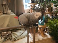 -森野花艺培训·企业团建活动沙龙