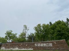 -东郊湿地公园