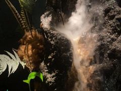 -泰之源足浴会所(玉环店)