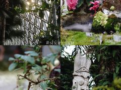 -上海辰山植物园