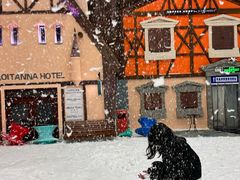 -世界之窗阿尔卑斯冰雪世界
