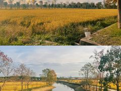 -嘉北郊野公园