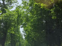 -秦岭风景区