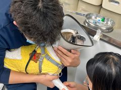-喜多萌中农锦绣动物医院24H·猫科·牙科MRI·CT
