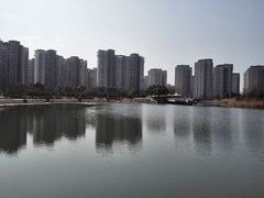 -新江湾城公园