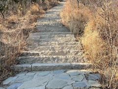 -北京西山国家森林公园