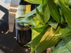 -成都尼依格罗酒店