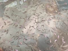 -天目湖涵田半山温泉水乐园