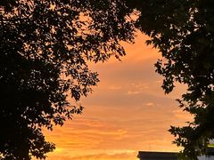 -清心素食自助餐厅(夫子庙店)