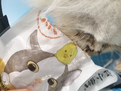 -艾贝尔宠物医院·24H转诊中心·肿瘤猫专科(江宁双龙店)