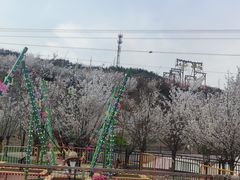 -孙大汤包(文化小区店)