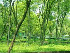 -西湖风景区-江洋畈生态公园