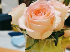 -大象厨房(重庆道店)