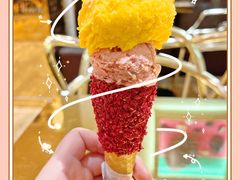 覆盆子雪糕-VENCHI 闻绮(广州太古汇店)