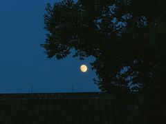 -东钱湖旅游度假区