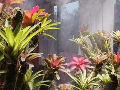 -扶摇湘宴·烤鸭·湘粤宴(中关村·北大店)