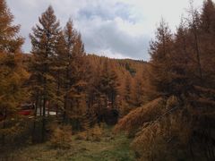-苏木山森林公园