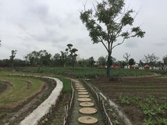 -嬉乐湾休闲旅游区