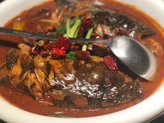 -鸽子侯·家宴·平价海鲜(市图书馆店)