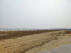 -日照海滨国家森林公园