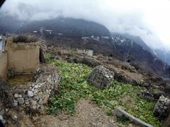 -萝卜寨羌文化生态旅游区