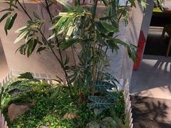 -老头儿油爆虾(星光一期店)