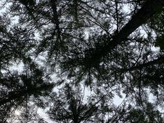 -崂山九水游览区