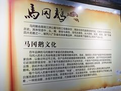 -优之名鹅城