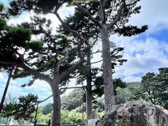 -妙峰山风景名胜区