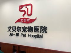 -艾贝尔宠物医院·狂犬免疫点(江山金象城店)