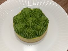 -猫里有甜