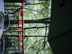 -巴倒烫陆派火锅山庄(南山总店)