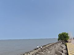 -上海滨江森林公园