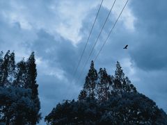 -嘉北郊野公园