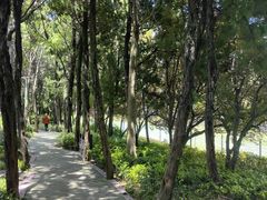 -嘉定紫藤园