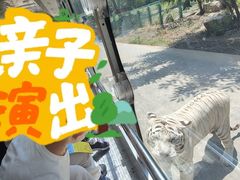 -西安秦岭野生动物园