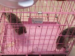 -云河农家乐饭店(福禄缘树山店)
